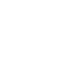 极速加急VIP通道